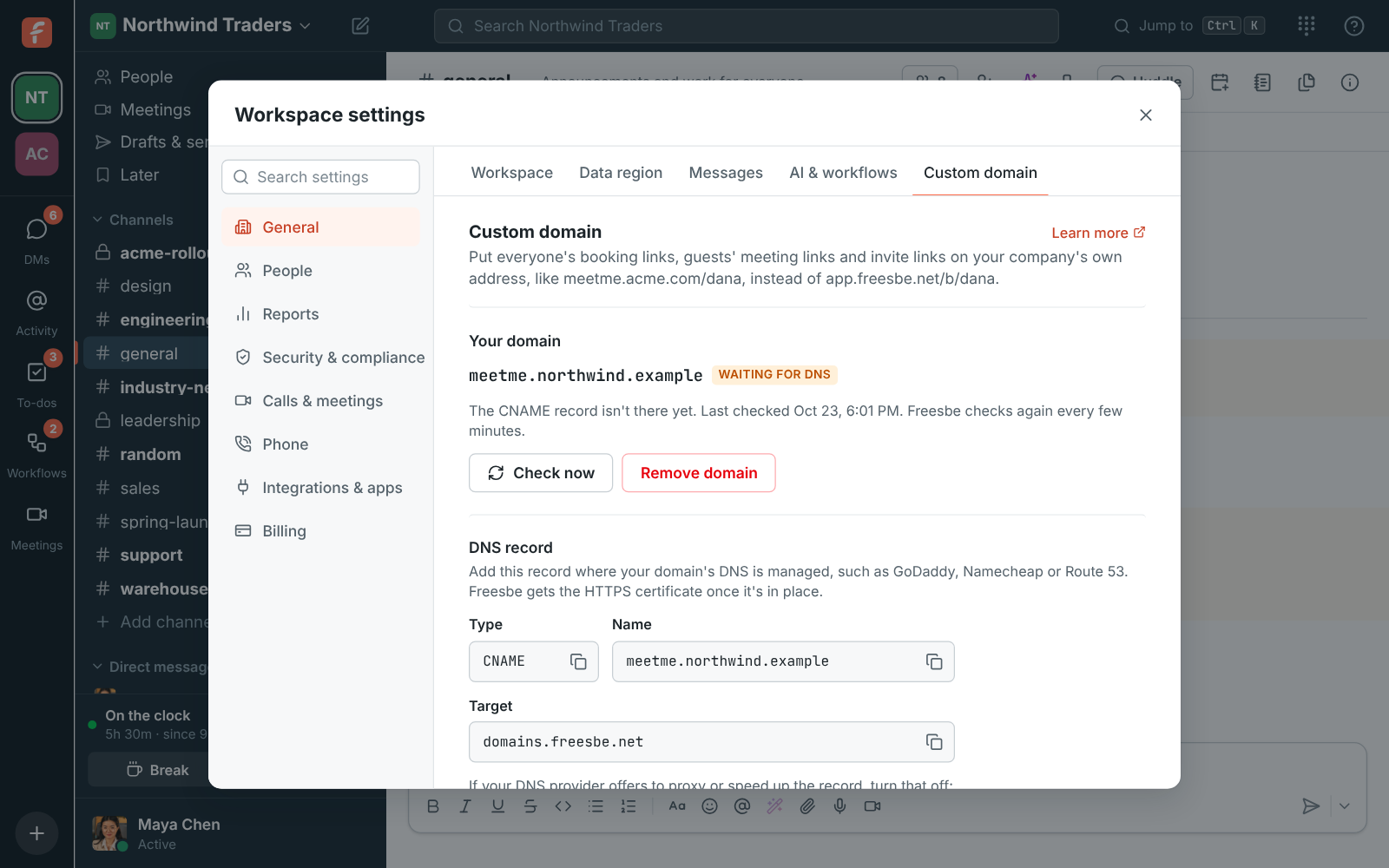 A domain waiting for DNS: the CNAME record to add, with copy buttons for the name and the target domains.freesbe.net, and Check now and Remove domain buttons