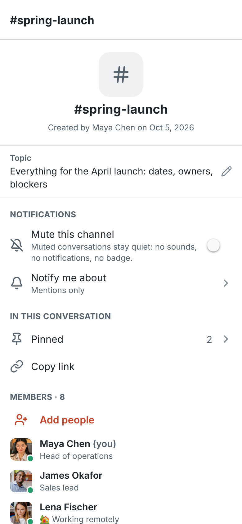 The details of #spring-launch on a phone: its topic, Mute this channel, Notify me about Mentions only, Pinned with 2 messages, Copy link and the members