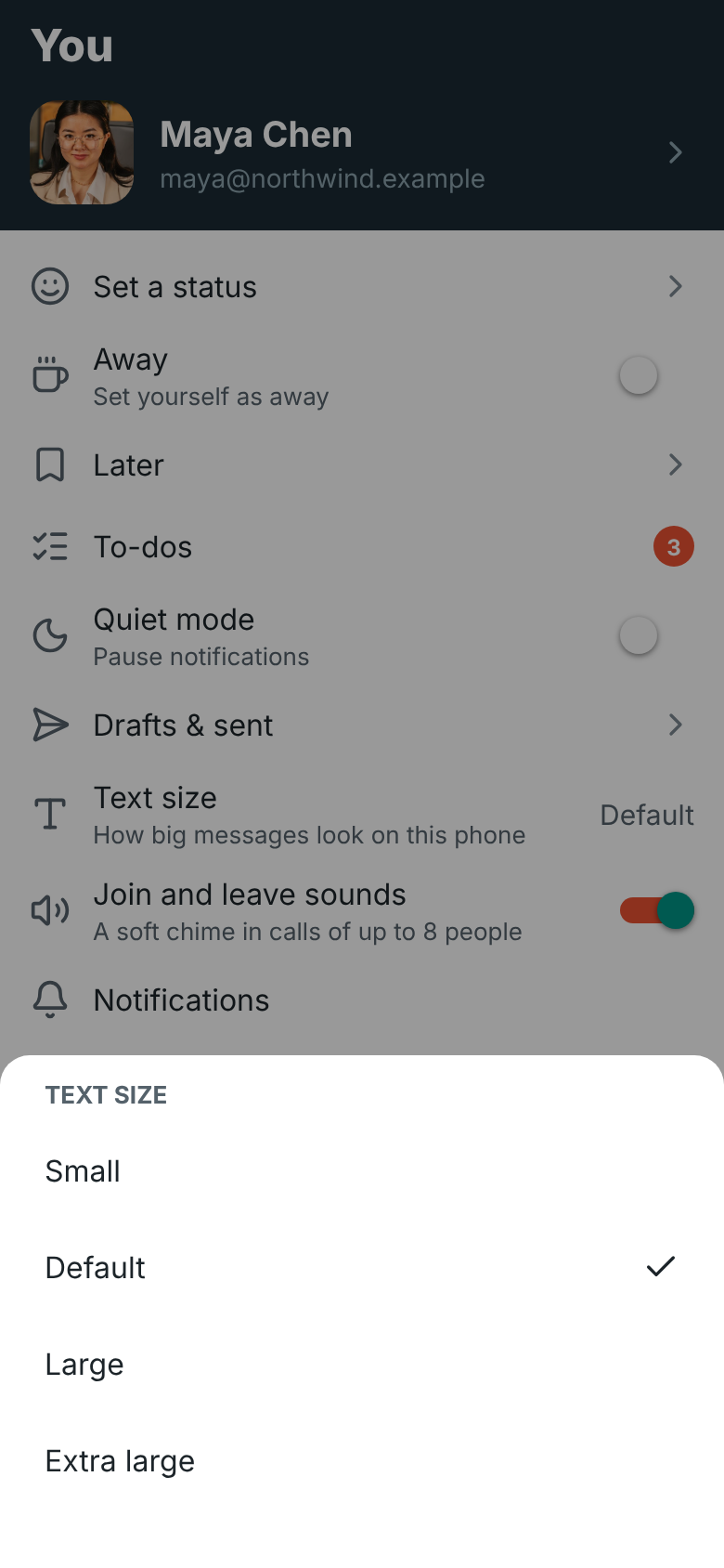 The Text size page with a preview and the five sizes