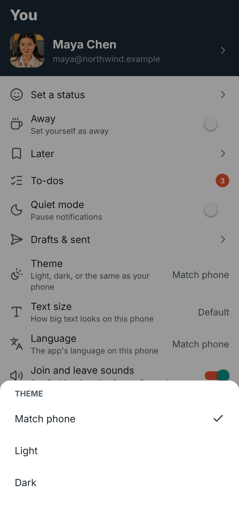 The You tab with the Theme options: Match phone, Light and Dark