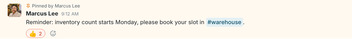 A pinned message in #general, with Pinned by Maya above it